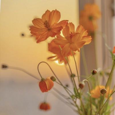 ManBetx万博全站APP最新版